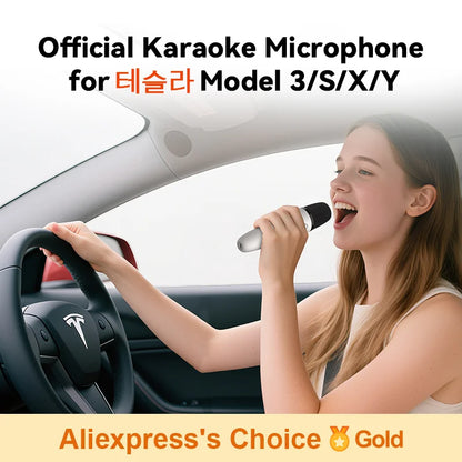 Silver rechargeable car karaoke microphone with usb-a and usb-c receiver plug for tesla model 3 s x y