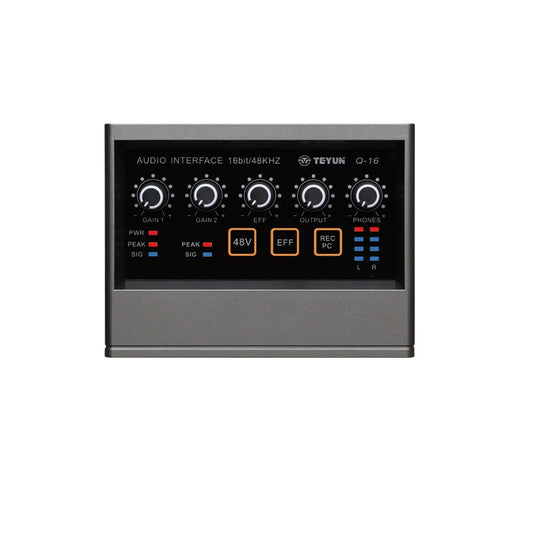 Teyun q-16 professional audio sound card with metallic gray chassis and black panel for electric guitar recording live broadcast studio