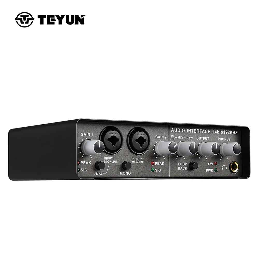 Black teyun q-24 professional sound card audio mixer channel with silver knobs and labeled ports for studio recording