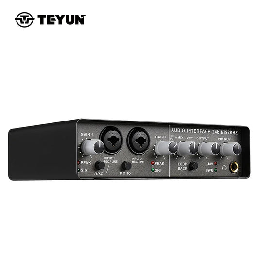 Black teyun q-24 professional sound card audio mixer channel with silver knobs and labeled ports for studio recording