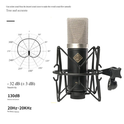 Black condenser exd em900 professional microphone with silver mesh grille in shock mount for studios recording studios and card live streaming