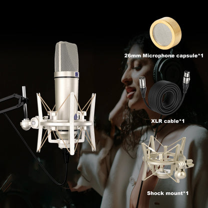 Silver u87 ai condenser microphone with mesh grille and shock mount for vocal recording podcast and youtube streaming