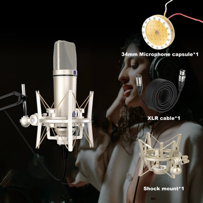 Silver u87 ai condenser microphone with mesh grille and shock mount for vocal recording podcast and recording podcast youtube