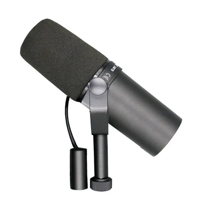 Black wired microphone professional with foam windscreen and metallic stand mount for professional dubbing recording