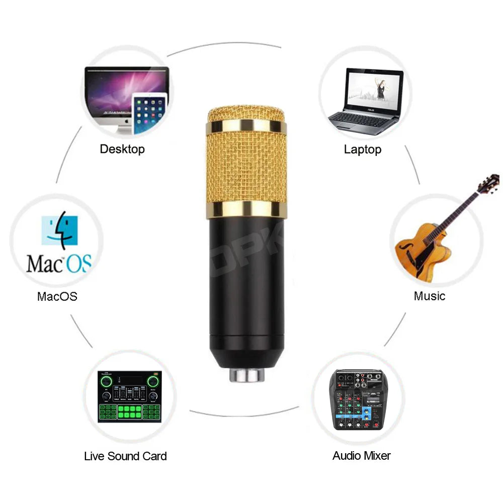 Gold and black woopker professional condenser microphone with mesh grille included in tripod bm800 set with shock mount